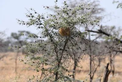 DSC_3440 (Large).JPG